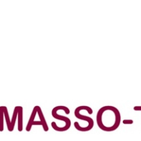 Massothérapeute /massage sur chaise en entreprise recherché